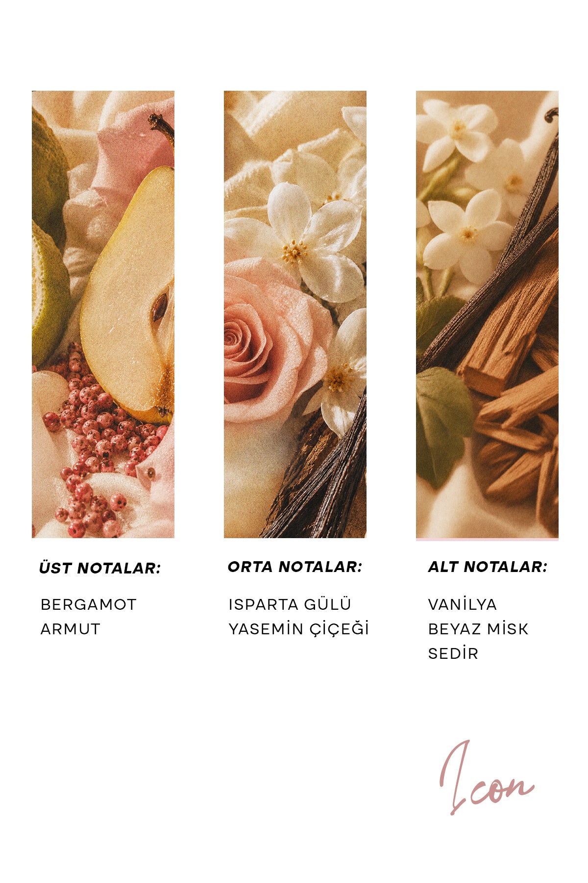 Icon Exrait de Parfum | Kadın Parfümü 100 mL